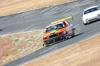 media/May-06-2023-Lucky Dog Racing (Sat) [[8f2256f436]]/Turn 2 10a/